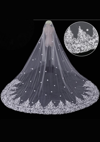 Cathedral Length Veil style 3